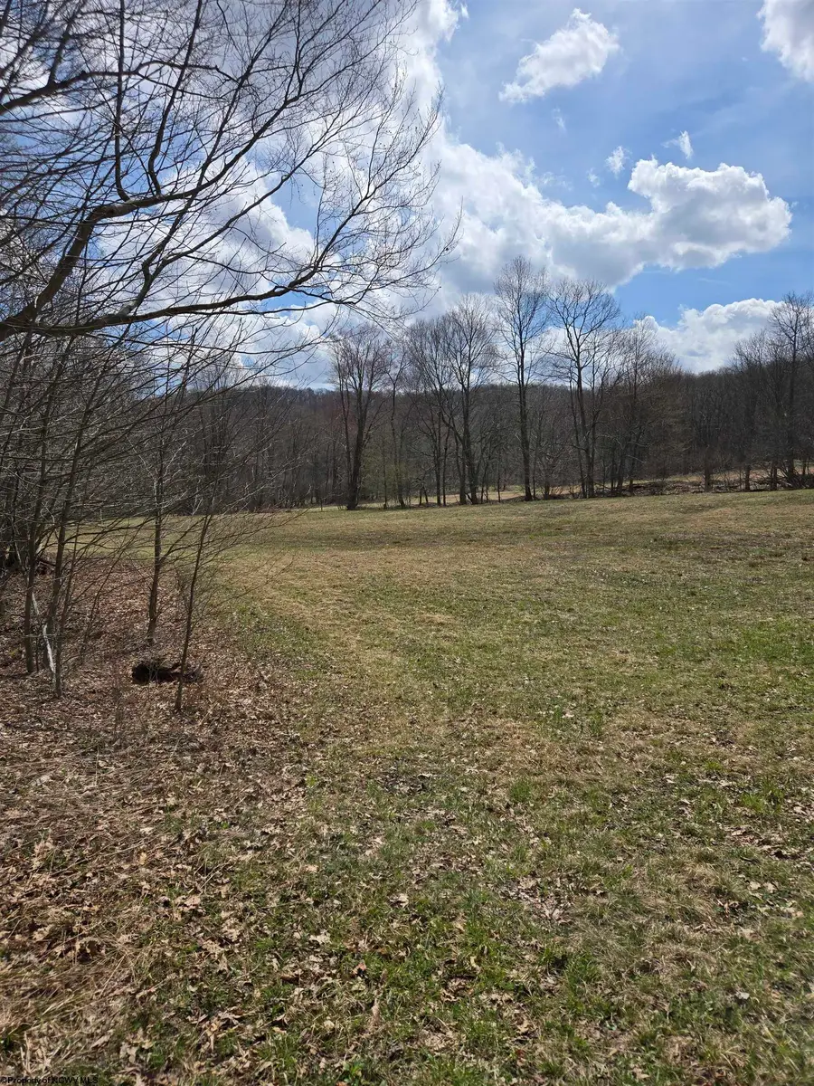 0 Cupps Run Road, Terra Alta, WV 26764 - #2