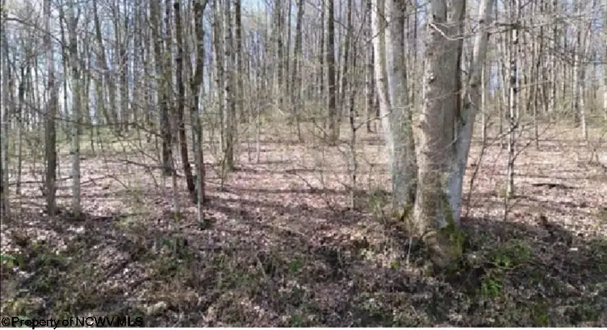 Lot 8 Brewer Road, Morgantown, WV 26508 - #2