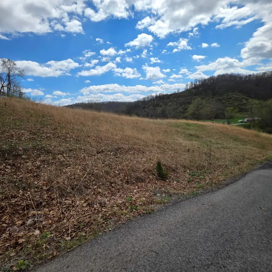 TBD Simpson Run Road, Weston, WV 26452 - #2