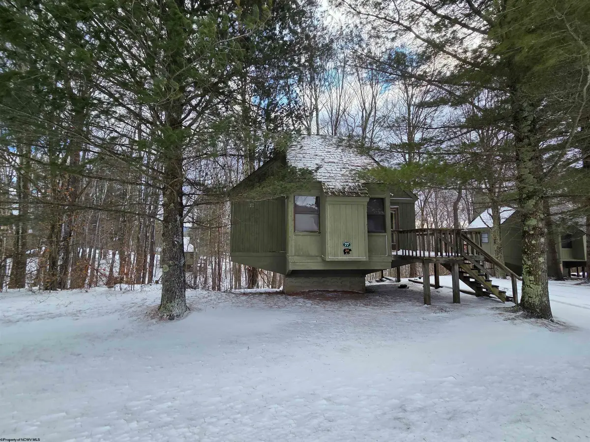 77 Wildflower Way, Davis, WV 26260 - #1