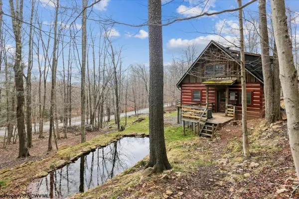 54 Cabin Mountain Road, Davis, WV 26260