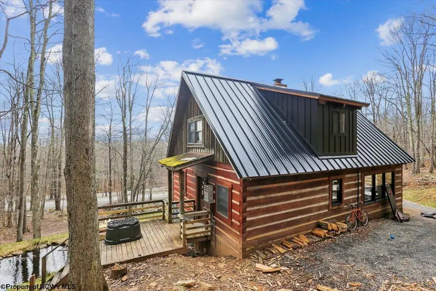 54 Cabin Mountain Road, Davis, WV 26260 - #2