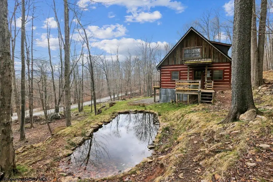 54 Cabin Mountain Road, Davis, WV 26260 - #3