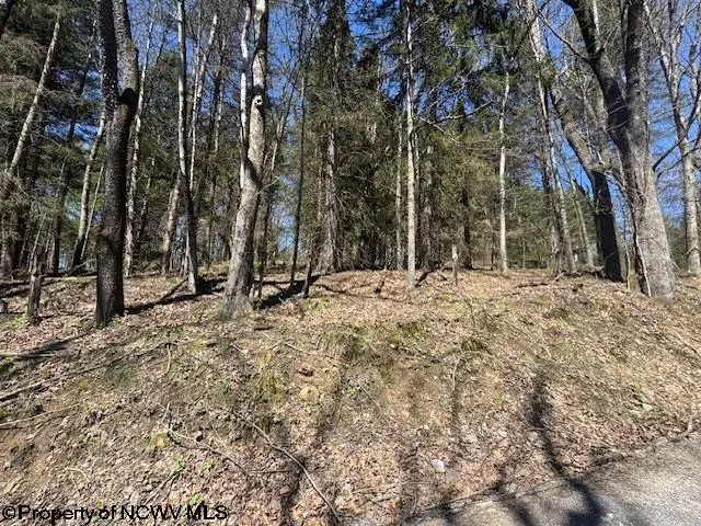 TBD Rexroad Farm Road, Bruceton Mills, WV 26525 - #2