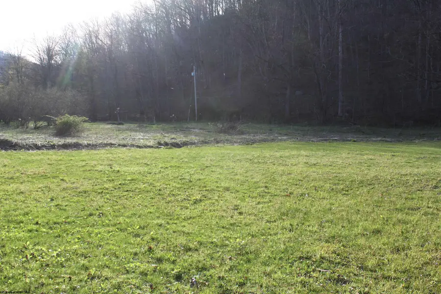 1625 Gauley River Road, Webster Springs, WV 26288 - #2