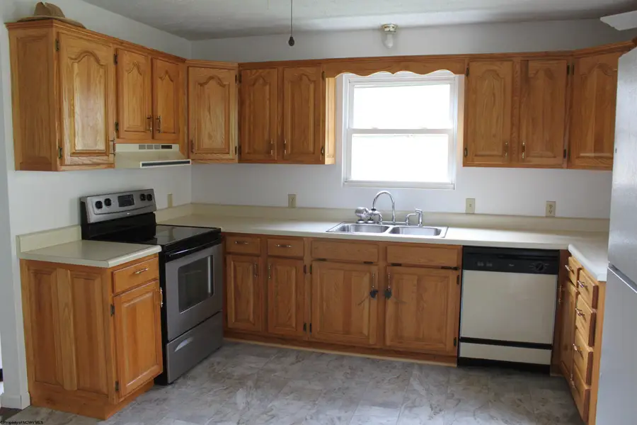 238 Excelsior Road, Webster Springs, WV 26288 - #3