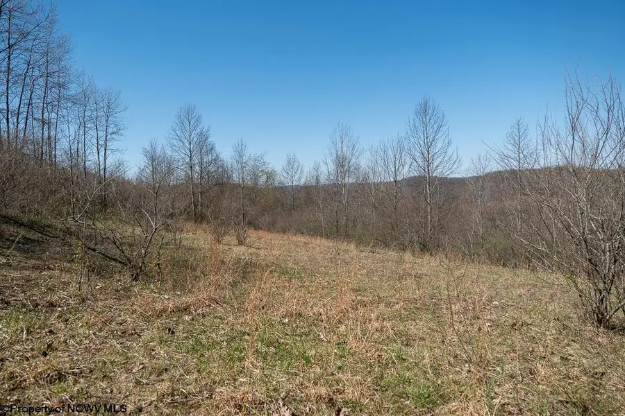 Lot 1 Fairfax Mine Road, Kingwood, WV 26537 - #3