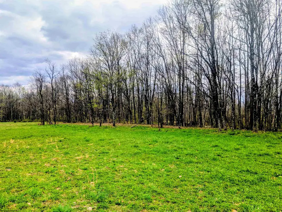 Lot 13 Sand Bank Road, Masontown, WV 26542 - #2