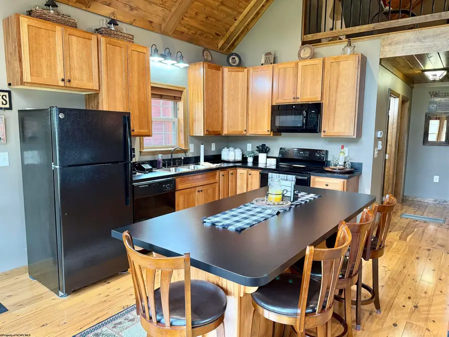 310 Hawthorne Point, Dryfork, WV 26263 - #3