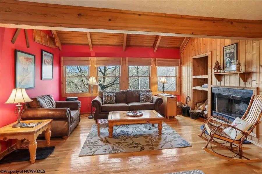 213 Treetop Lane, Davis, WV 26260 - #3