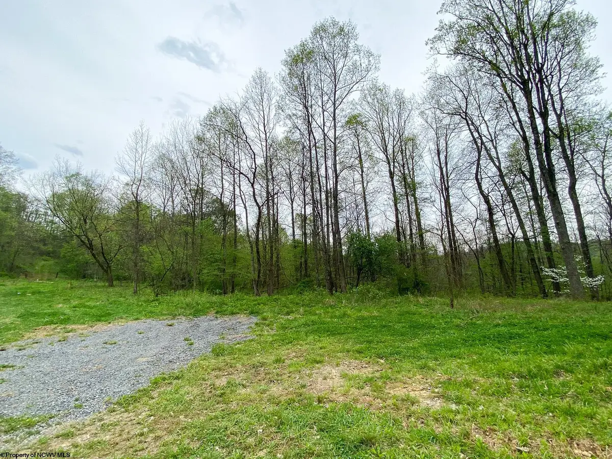 Lot 5 E Run Circle, Four States, WV 26572 - #1
