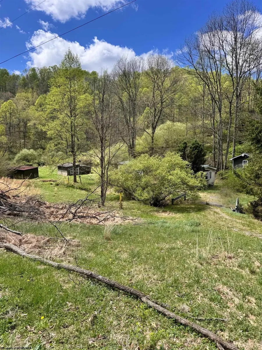 601 Shaw Hallow Road, Wallace, WV 26448-9999 - #2