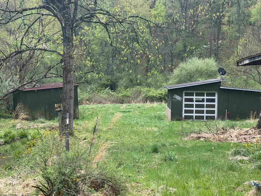 601 Shaw Hallow Road, Wallace, WV 26448-9999 - #3