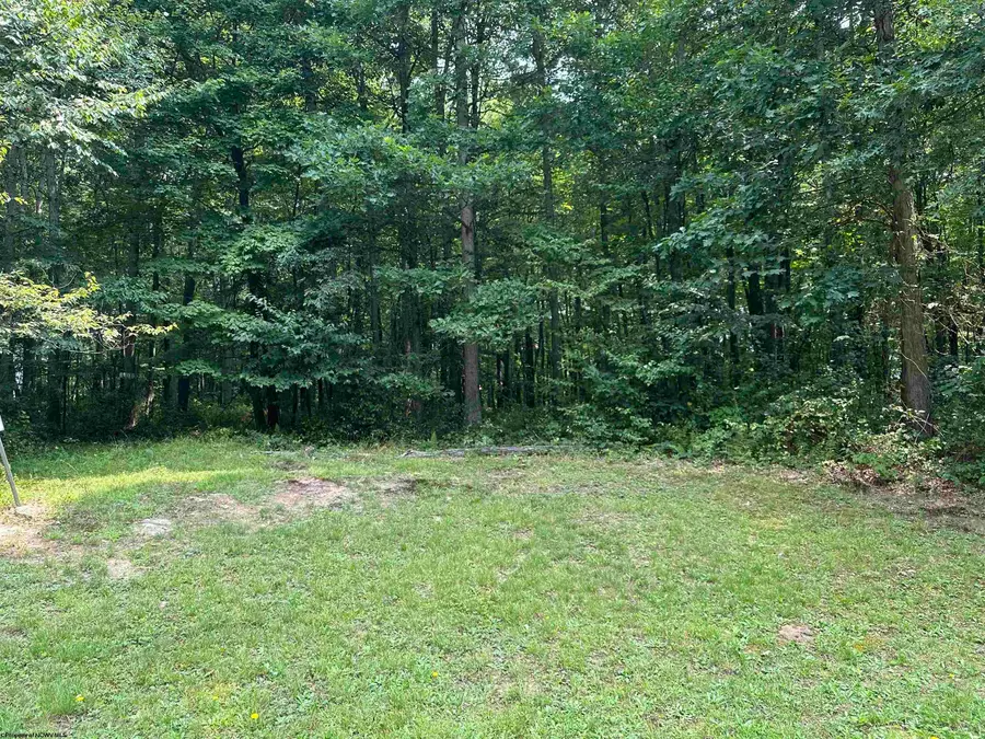 32 Oak Drive, Albright, WV 26519 - #3