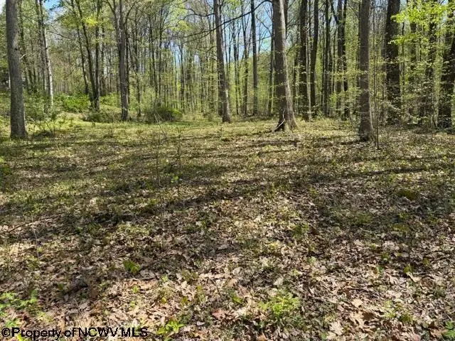 TBT Main Street, Montrose, WV 26283 - #1