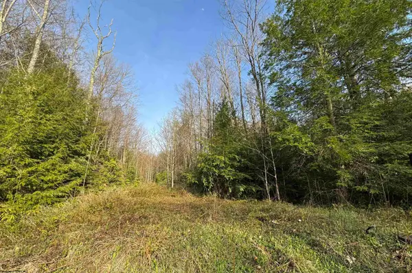 Lot 80 Gondola Court, Davis, WV 26260-0000