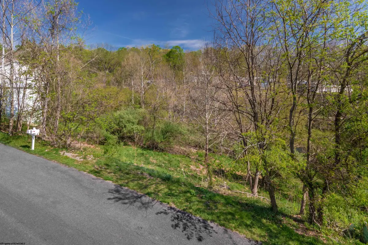 78 Antietam Drive, Morgantown, WV 26508 - #1