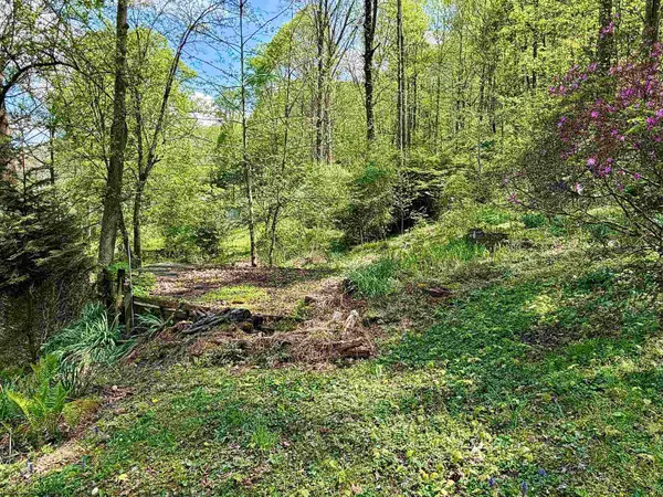 94, 95, 96 Crystal Lake, West Union, WV 26456