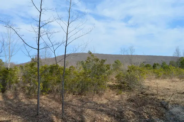 Lots 1 & 2 Grosbeak Drive, Terra Alta, WV 26764