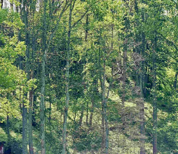 Lot 99 Crystal Lake, West Union, WV 26456