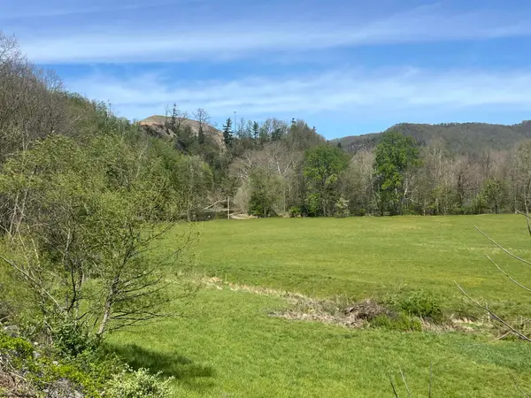 TBD Cheat Valley Highway, Parsons, WV 26287