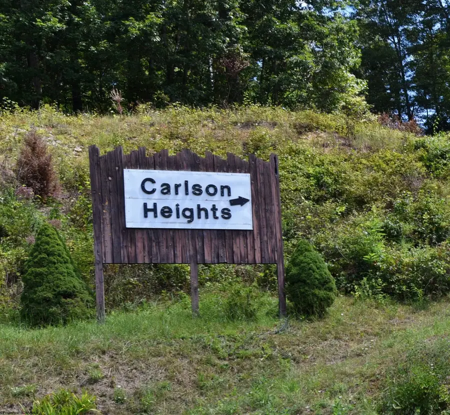 Lot 42 Carlson Drive, Grafton, WV 26354 - #2