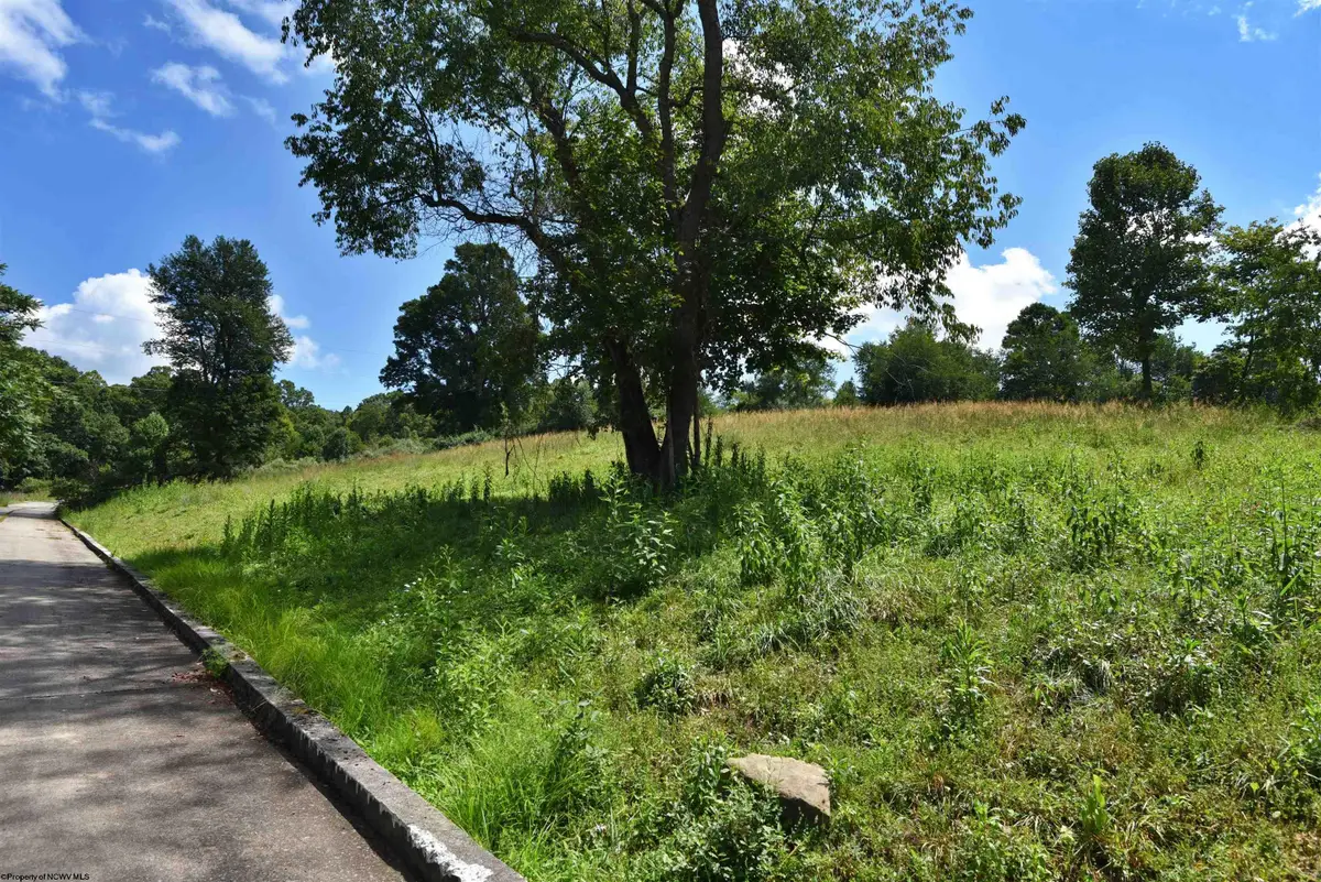 Lot 46 Carlson Drive, Grafton, WV 26354 - #1