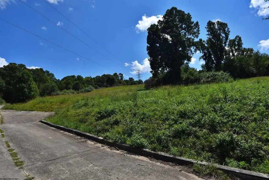 Lot 46 Carlson Drive, Grafton, WV 26354 - #3