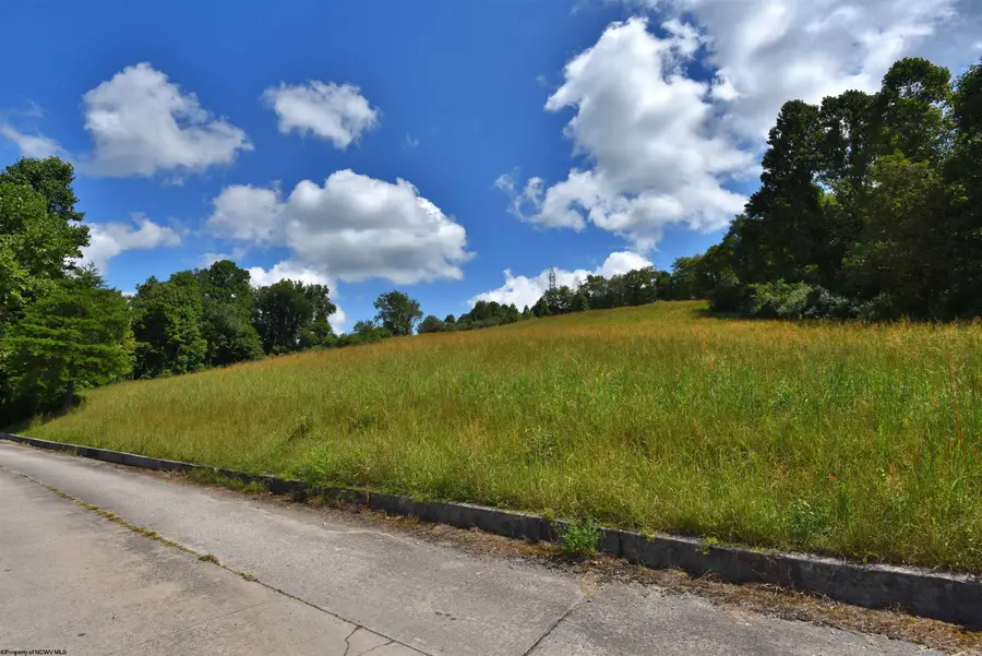 Lot 48 Birch Street, Grafton, WV 26354 - #3