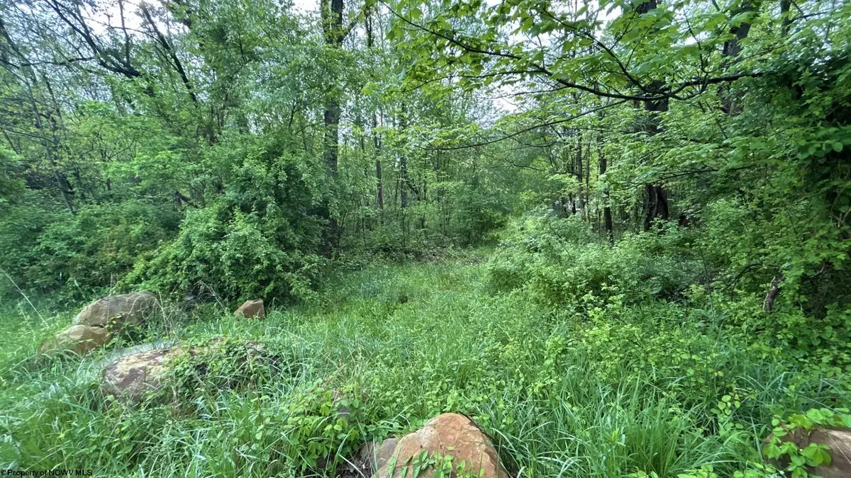 TBD Sullivan Road, Morgantown, WV 26501 - #1