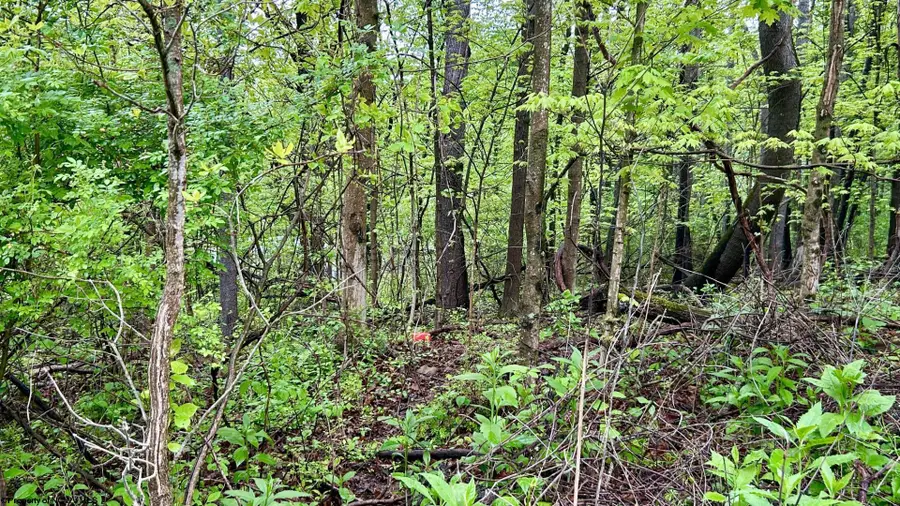 TBD Sullivan Road, Morgantown, WV 26501 - #3
