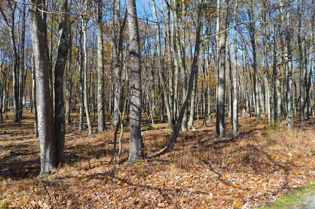 181 E Alpine Drive, Terra Alta, WV 26764 - #1