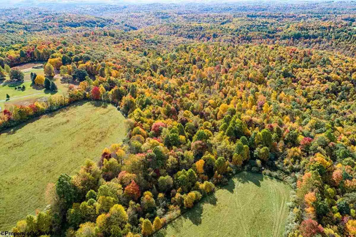 17688 Veterans Memorial Highway, Kingwood, WV 26537 - #1