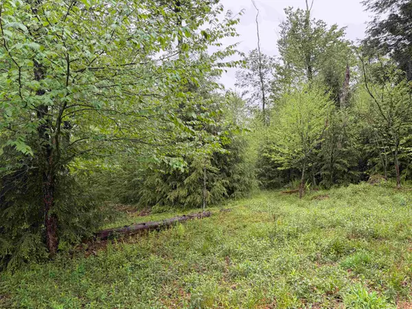 Lot 76 Bassilla Way, Davis, WV 26260