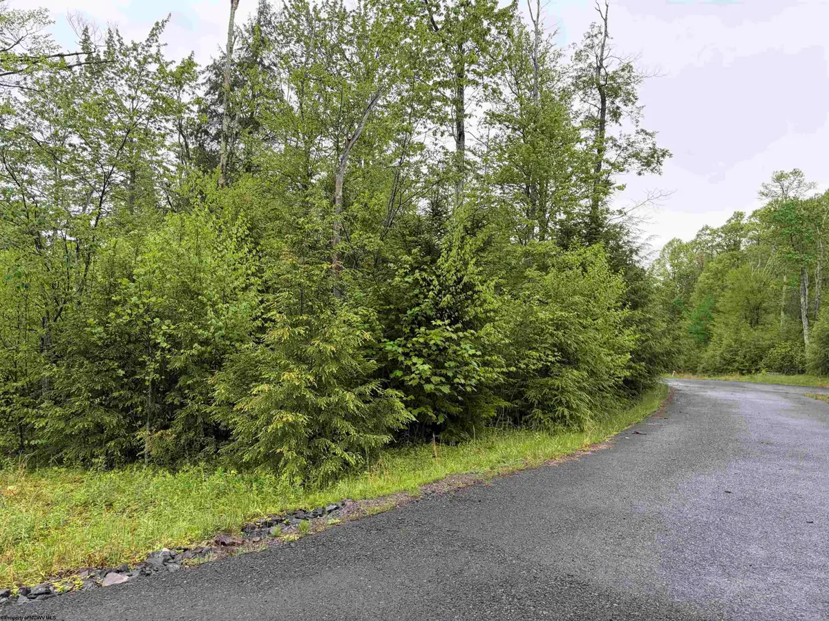 Lot 77 Bassilla Way, Davis, WV 26260 - #1