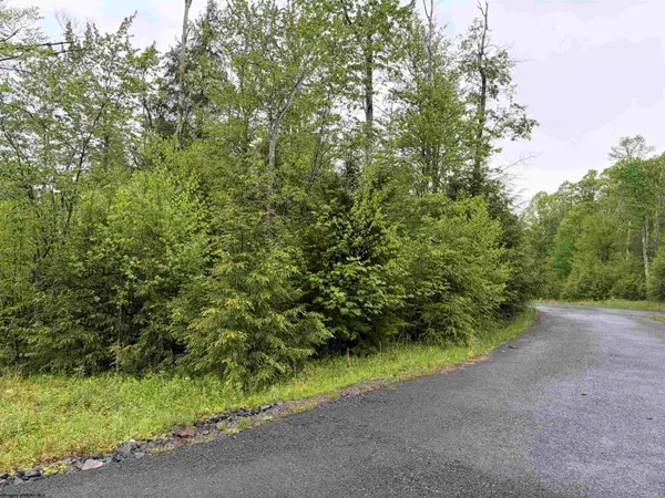 Lot 77 Bassilla Way, Davis, WV 26260
