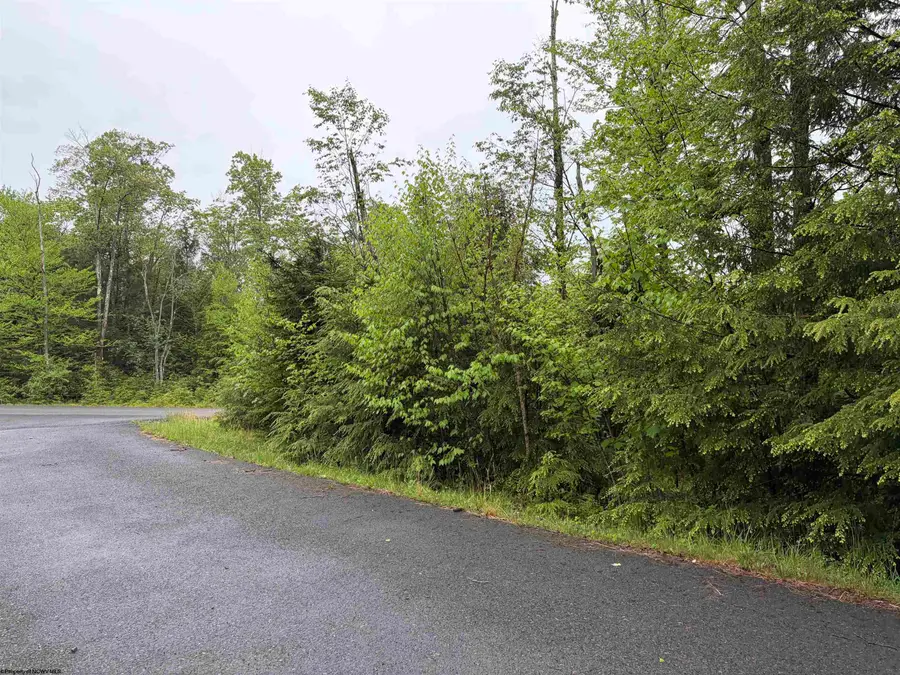 Lot 77 Bassilla Way, Davis, WV 26260 - #2