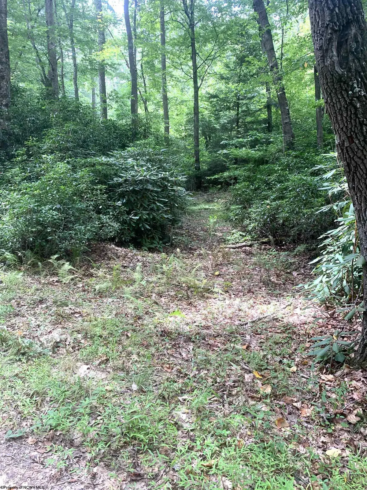 3311 Hanging Run Road, Belington, WV 26250 - #1