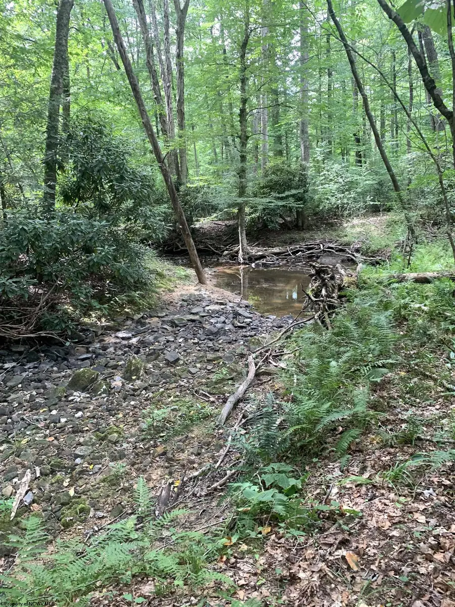 3311 Hanging Run Road, Belington, WV 26250 - #2