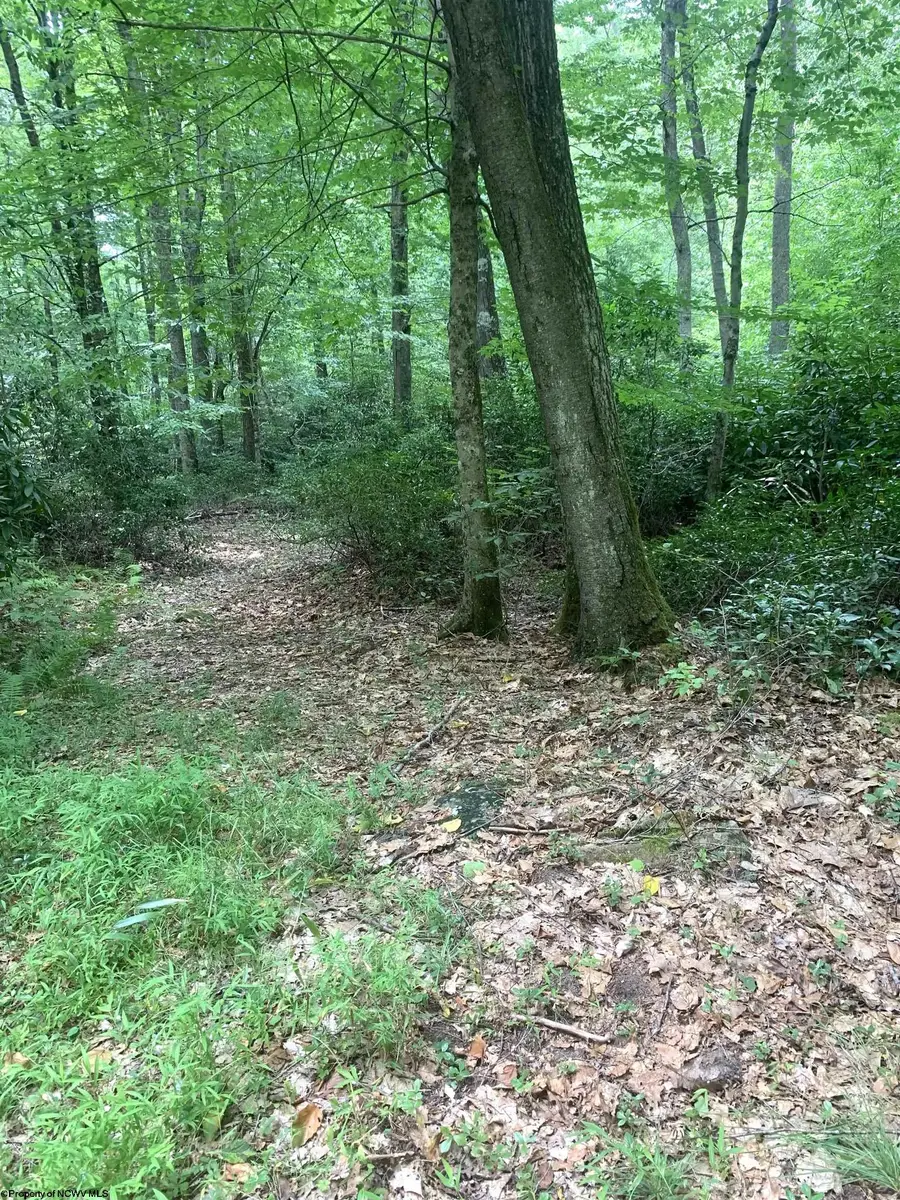 3311 Hanging Run Road, Belington, WV 26250 - #3