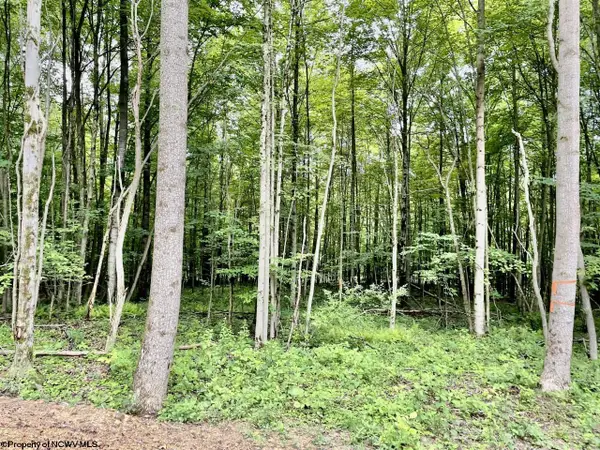 4 Holleran Heights, Kingwood, WV 26519