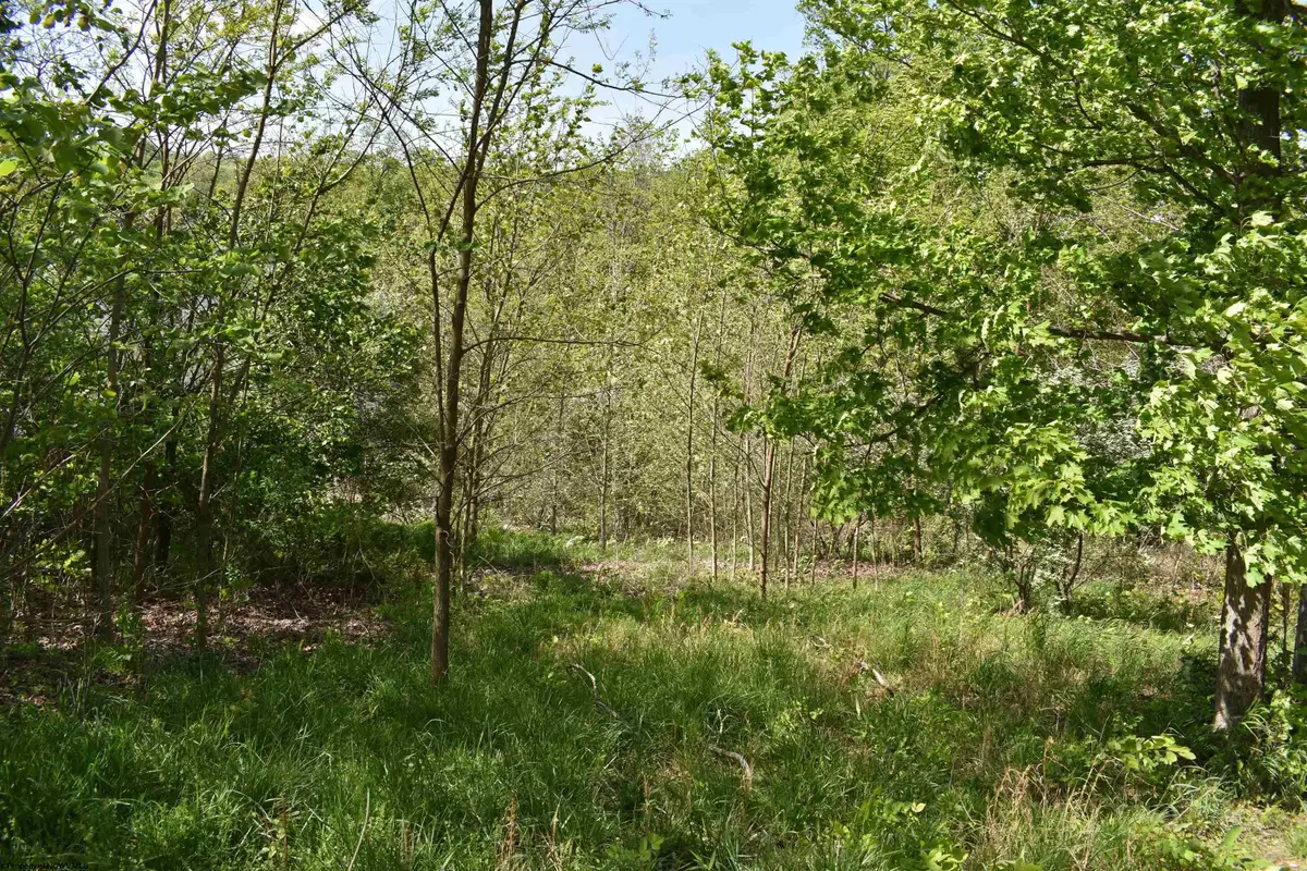 Lot 54 Sanctuary Cove, Morgantown, WV 26508 - #1