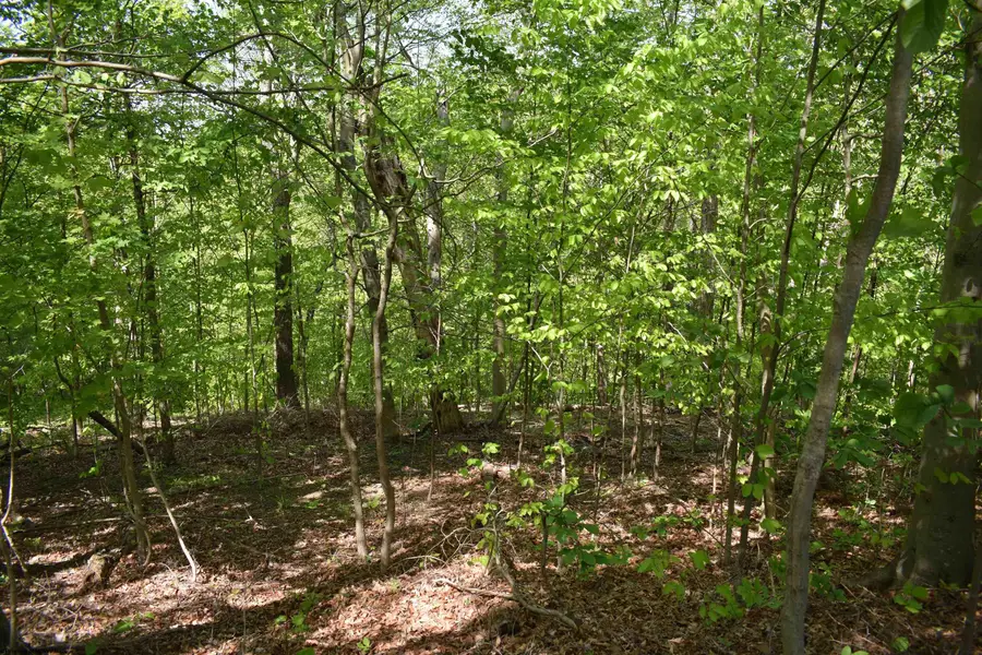 Lot 54 Sanctuary Cove, Morgantown, WV 26508 - #3