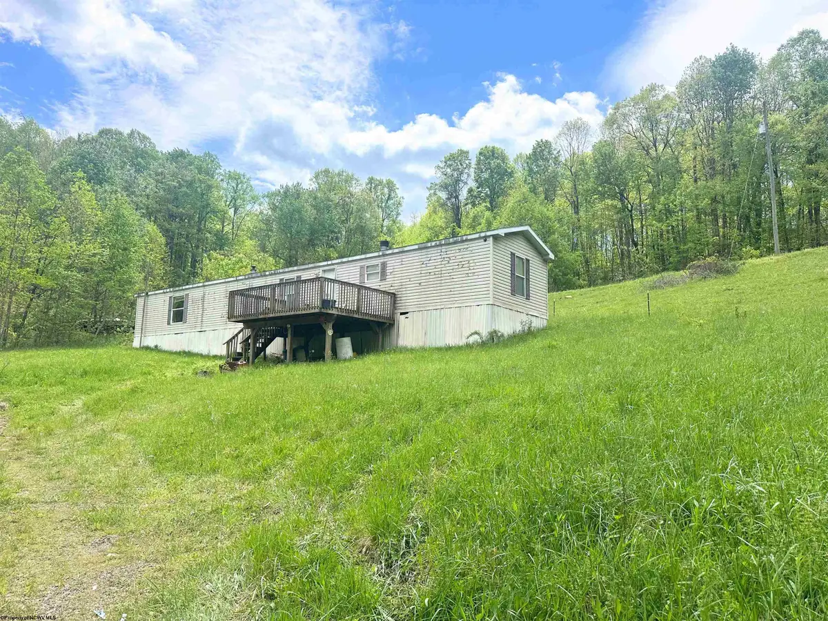 3003 Pell Road, Kingwood, WV 26537 - #1