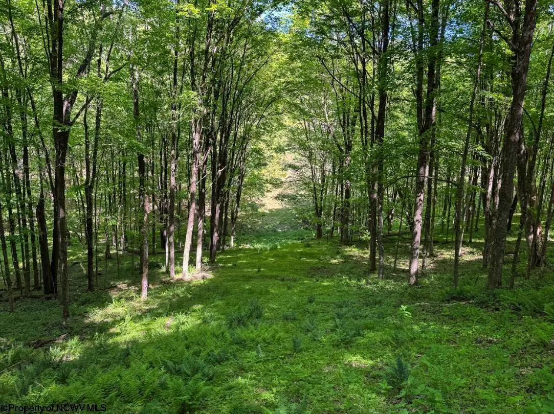 975 Whiteman Run Road, Philippi, WV 26416 - #1