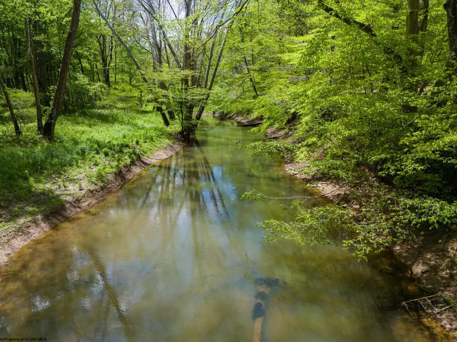 Lot 1 Libbylu Lane, Buckhannon, WV 26201 - #2