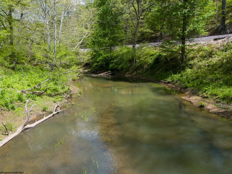 Lot 1 Libbylu Lane, Buckhannon, WV 26201 - #3