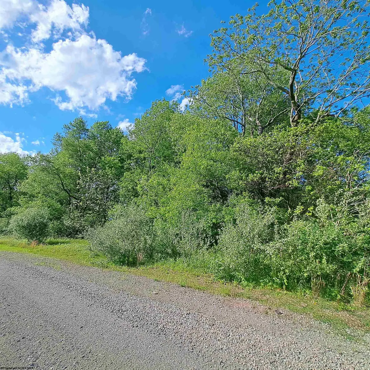 TBD Hudson Mill Road, Albright, WV 26519 - #1