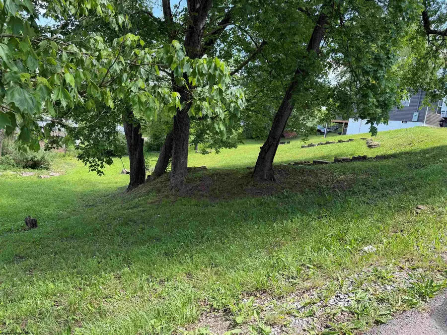 TBD S Second Street, Belington, WV 26250 - #2
