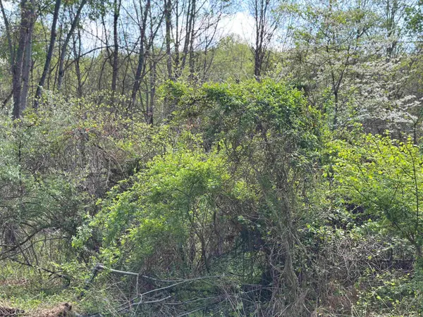 TBD Rush Road, Carmichaels, PA 15320